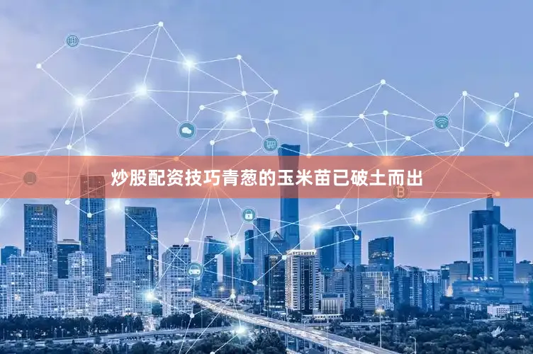 炒股配资技巧青葱的玉米苗已破土而出