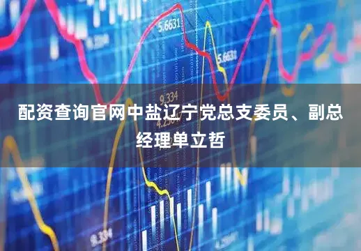 配资查询官网中盐辽宁党总支委员、副总经理单立哲