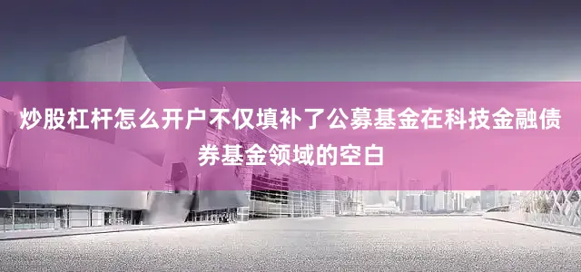 炒股杠杆怎么开户不仅填补了公募基金在科技金融债券基金领域的空白